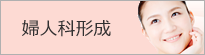 婦人科形成